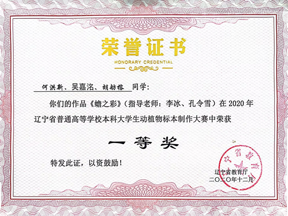 图4.png