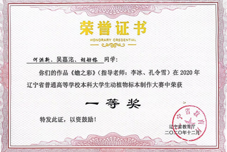 图片 2.png